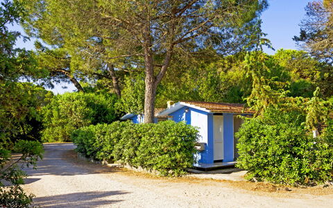 Accommodation:&nbsp;Etruria 200.3
