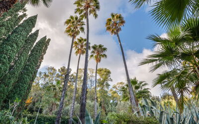Accommodation:&nbsp;Villa le Palme 400.11