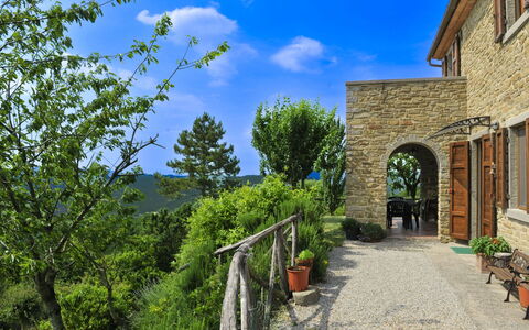 Casetta i Ciliegi: Garden, Cottage, Farmhouse, Shade, Landscaping, Estate, Yard, Backyard, Stone Wall, Hacienda