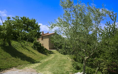 Casetta i Ciliegi: Garden, Cottage, Farmhouse, Shade, Landscaping, Estate, Yard, Backyard, Stone Wall, Hacienda