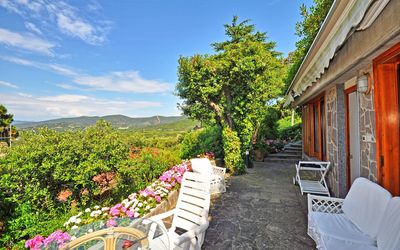 Punta Ala: Property, Real Estate, House, Building, Home, Cottage, Tree, Room, Estate, Vacation