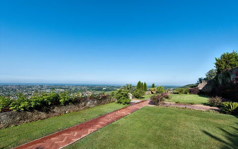 Villa Camaiore: Sky, Property, Grass, Real Estate, Daytime, Land Lot, Tree, Garden, Botany, Lawn