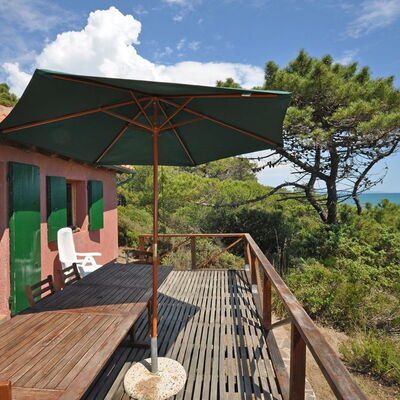 Casamare: Nature, Property, Nature Reserve, Natural Landscape, House, Tree, Home, Building, Real Estate, Architecture