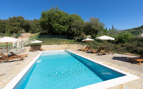 Villa Nova: Swimming Pool, Property, Real Estate, Leisure, House, Water, Vacation, Estate, Villa, Tree