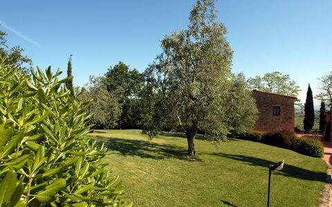 La Valle: Tree, Property, Grass, House, Plant, Garden, Woody Plant, Botany, Real Estate, Grass Family