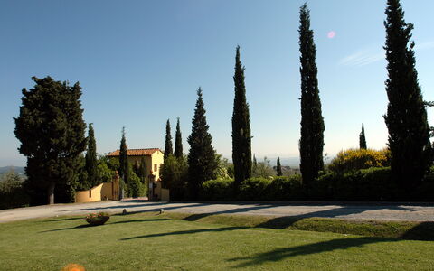 La Valle: Tree, Sky, Grass, Woody Plant, Architecture, Plant, Landscape, Park, Garden, Landscaping