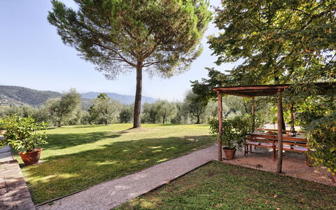 Le Pergole: Property, Real Estate, Natural Landscape, Tree, House, Grass, Garden, Home, Botany, Yard