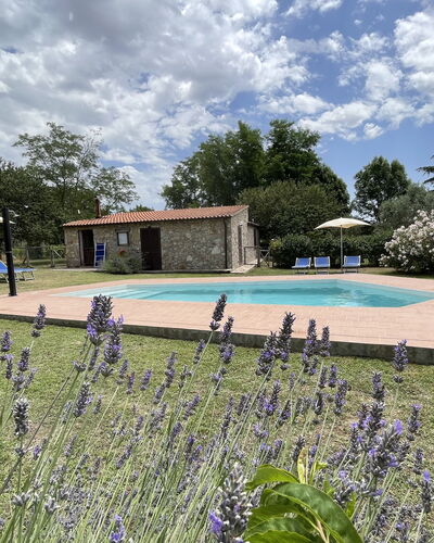 Funghi 1: Cloud, Plant, Sky, Water, Flower, Swimming Pool, Tree, Grass, Natural Landscape, Leisure