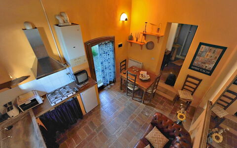 Accommodation:&nbsp;Paint