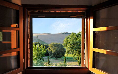 Accommodation:&nbsp;Quarter