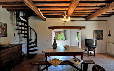 Accommodation:&nbsp;Appaloosa