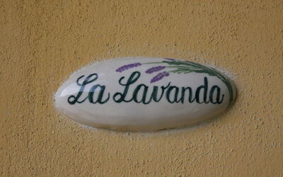 Accommodation:&nbsp;Lavanda