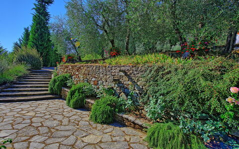 Villa Montalcino: Garden, Vegetation, Wall, Tree, Plant, Walkway, Botanical Garden, Botany, Landscape, Grass Family