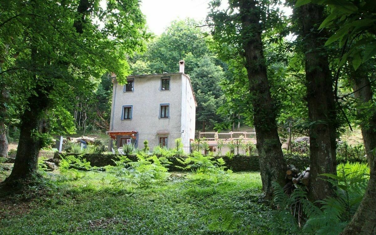 La Casetta Nel Bosco