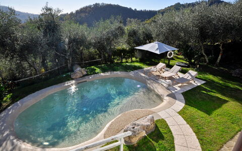 Casa Roberto: Swimming Pool, Water Feature, Garden, Resort, Landscaping, Resort Town, Hacienda, Villa, Backyard, Eco Hotel