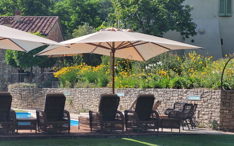 Angeloni: Plant, Furniture, Umbrella, Chair, Table, Shade, Tree, Outdoor Furniture, Botany, Building