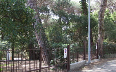 Appartamento - le Finestre - Marina di Castagneto Carducci, Tuscany, Italy