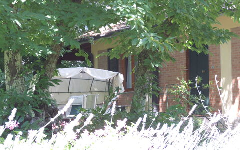 Villa La Quercia: House, Property, Home, Tree, Cottage, Real Estate, Neighbourhood, Yard, Branch, Plant