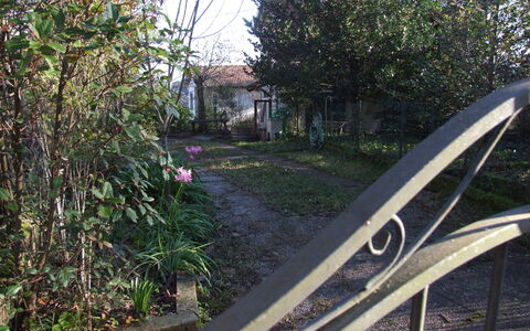 Villa Agrifogli: Transport, Tree, Wheel, Grass, Iron, Plant, House, Road, Vehicle