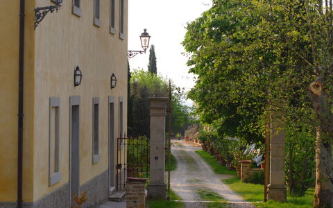 Tenuta Il Tresto: Tree, Town, Street, Alley, Wall, Road, Architecture, Neighbourhood, House, Building