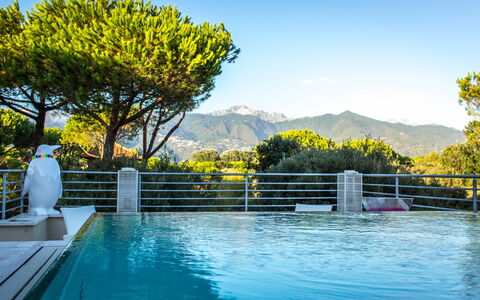 Marina Dei Ronchi Prestige: Nature, Water, Swimming Pool, Property, Sky, Yellow, Tree, Real Estate, Vacation, Leisure