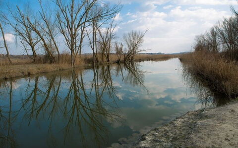 Villa La Fragola: Body Of Water, Natural Landscape, Water, Bank, Water Resources, Natural Environment, Reflection, River